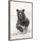 Brown bear fishing for salmon by Adam Jones Danita Delimont 16-in. W x 23-in. H. Canvas Wall Art Print Framed in Grey